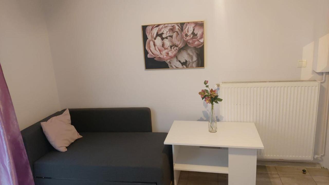 Apartamenty Grapa Szum Rzeki Parking Free Висла Экстерьер фото