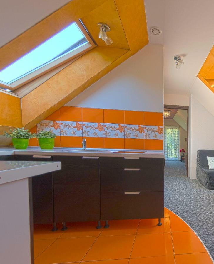 Apartamenty Grapa Szum Rzeki Parking Free Висла Экстерьер фото